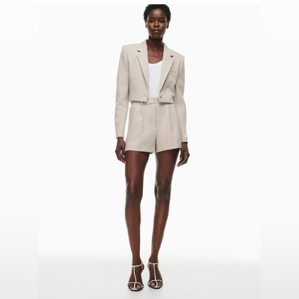 Aritzia Babaton Arbus Blazer